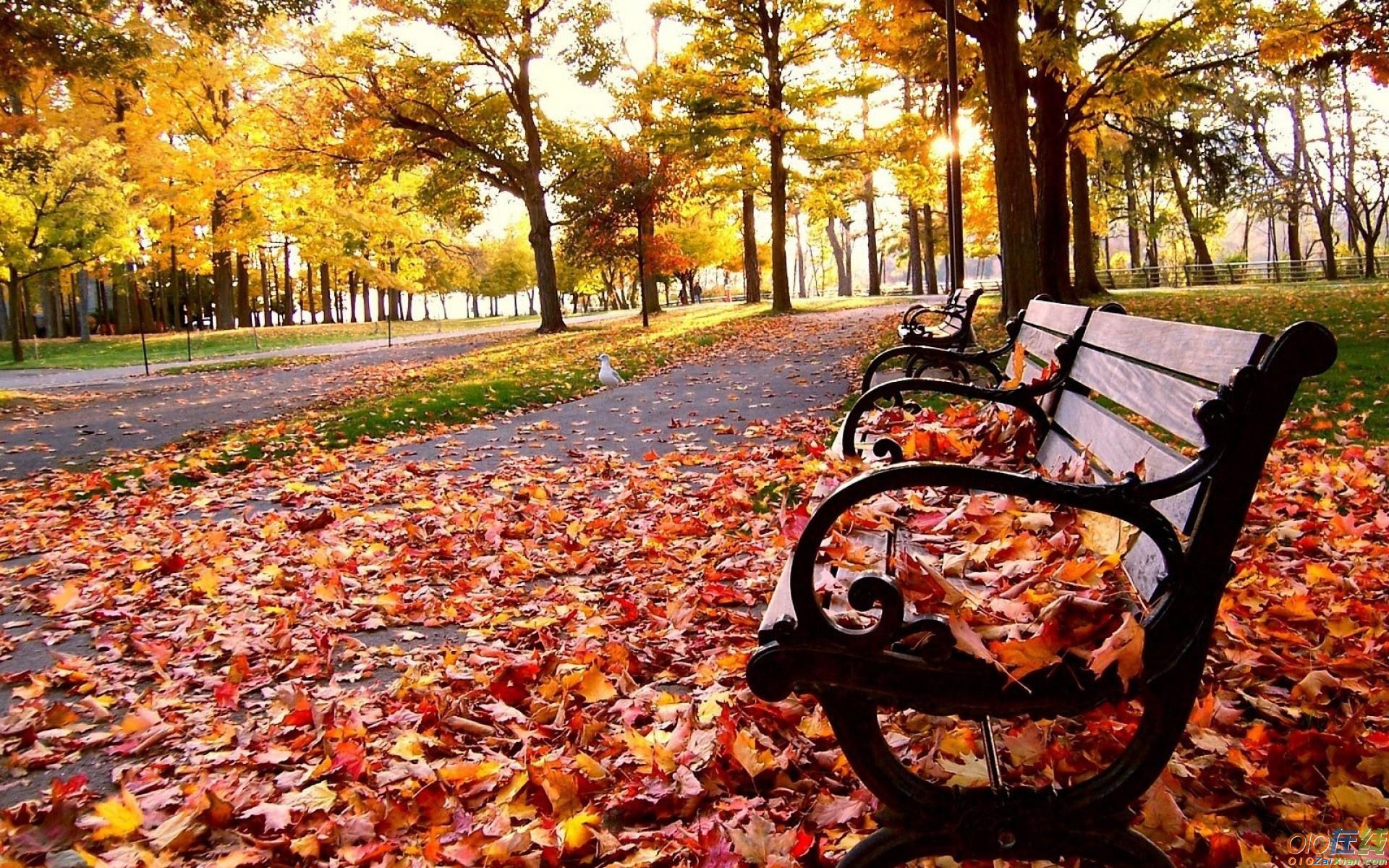 描写秋季景色的诗句摘抄