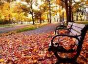 描写秋季景色的诗句摘抄