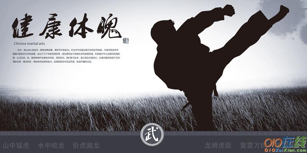 中国传统文化武术作文