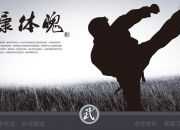 中国传统文化武术作文