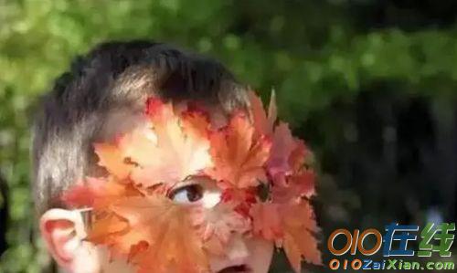 儿童树叶面具制作方法