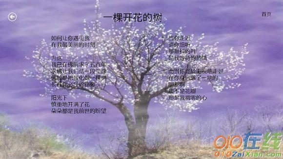 席慕容《一棵开花的树》诗作赏析