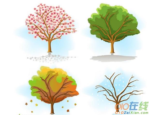 描写树一年四季的作文