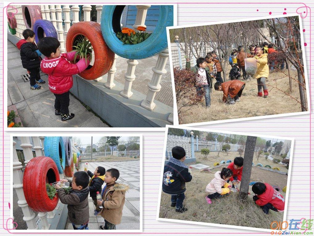 2015年幼儿园植树节活动报道