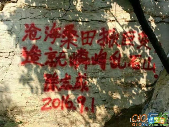 2017社会热点论据：不文明旅游