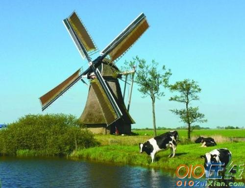 欧洲开心游之荷兰阿姆斯特丹作文