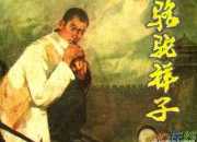《駱駝祥子》的好句摘抄