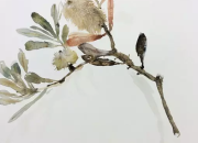中考作文素材：雨季 花季