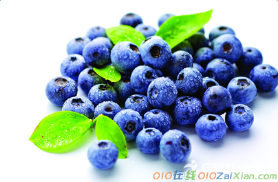 形容蓝莓颜色的词语