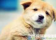 微信朋友圈早安問候語摘抄