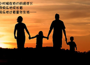 體會父母的愛500字作文