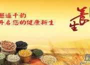 《養(yǎng)魚記》古詩原文及翻譯