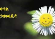 一句話正能量語錄