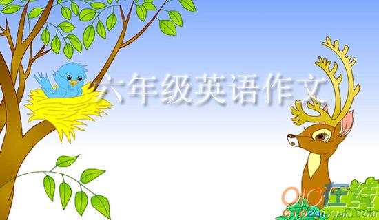 网络带我游花海小学六年级作文