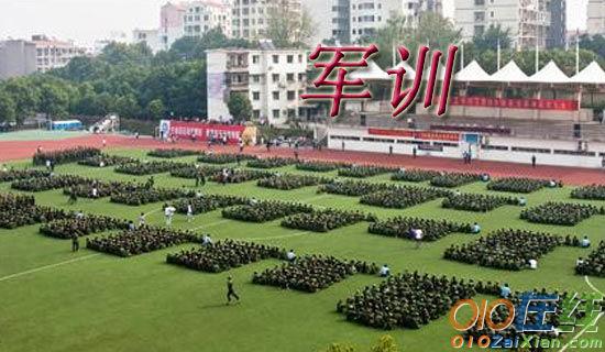 秋天的四重奏小学生作文