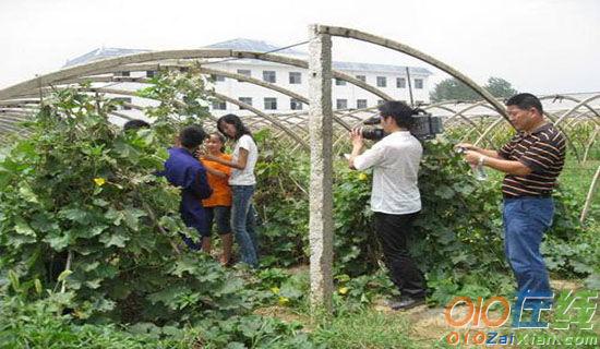 声动河北大学生语言文化艺术节的策划书