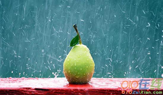 雨后微凉,落墨成殇抒情散文