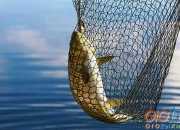 網絡上最感人的經典話語