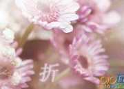 折磨你的那些貴人的美文摘抄