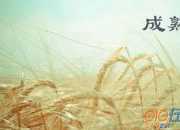 成熟初中作文