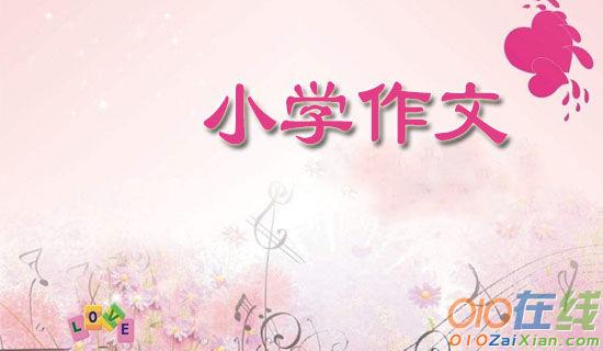 面向黎明春暖花开小学作文