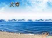 大海的作文450字