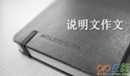 可爱的小乌龟小学三年级优秀作文500字