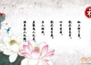 關(guān)于人生感悟的句子
