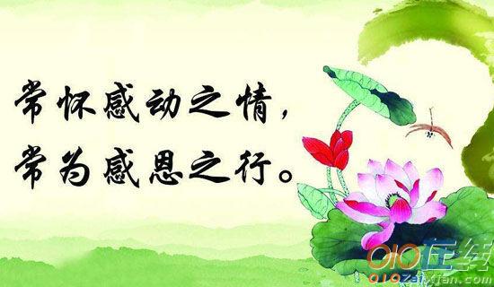 让我感动的故事《爱之链》 作文