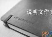 捉雞作文范文500字