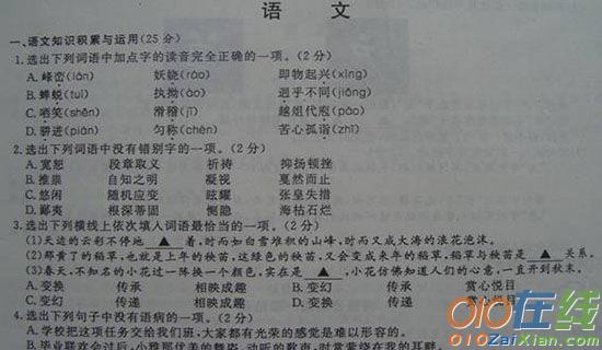 小学升初中语文模拟测试试卷