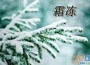 秋霜作文