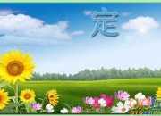 《定風波·紅梅》古詩詞翻譯賞析