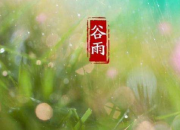 二十四節氣谷雨詩詞欣賞