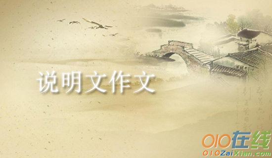 为什么有黄色四年级作文600字