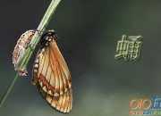 描寫家庭的優美句子集錦