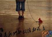 一百分的謊言后感作文
