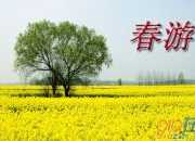我喜歡的一次春游作文550字