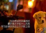 不要在最美的年華里辜負自己勵志短文