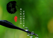 最美清明詩詞