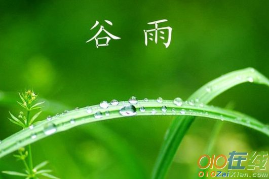 谷雨时节经典祝福语