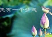 曾經(jīng)我有一個夢想作文