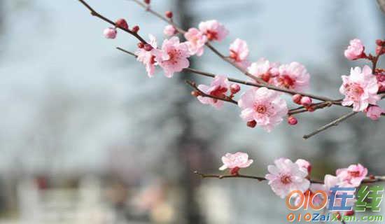 梅雨季节的诗句