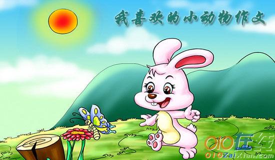 我喜欢的一个人作文600字