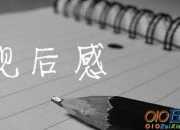 《海洋朋友》觀后感范文300字