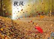 茅屋為秋風所破歌初三作文