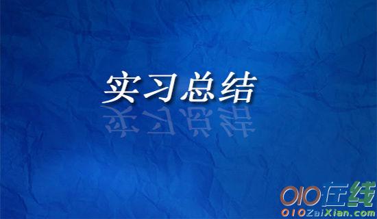 建材公司顶岗实习工作总结