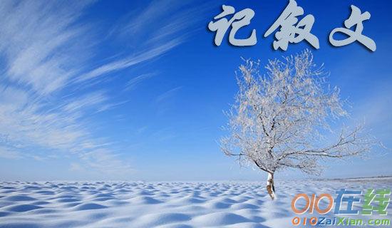 记叙文《听梅》阅读题