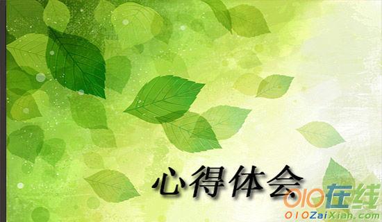 小学班主任工作的学习心得体会