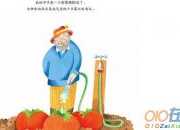 爺爺奶奶的愛的作文